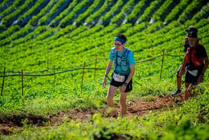 BIB: 
                            <button type="button" onclick="openModal(19161454)" class="btn btn-primary btn-sm float-right btn-popup" data-toggle="modal" data-target=".modal-high-quality">
                        <i class="fas fa-shopping-cart"></i> Add to Cart
                    </button>
                                            <button type="button" onclick="isThisMe(19161454, true)" class="btn btn-success btn-sm float-right btn-popup btn-isme hidden" data-toggle="tooltip" data-placement="bottom" title="นี่คือรูปของคุณใช่ไหม คลิกที่นี่เพื่อเอาเข้าอัลบั้ม">
                        <i class="fas fa-plus"></i> Add to album
                    </button>
                    <button type="button" onclick="isThisMe(19161454, false)" class="btn btn-warning btn-sm float-right btn-popup btn-isnotme hidden">
                        <i class="fas fa-ban"></i> Remove from album
                    </button>